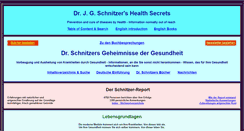 Desktop Screenshot of dr-schnitzer.de